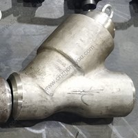 Forge F316L Y pattern Check Valve  DN100 PN250