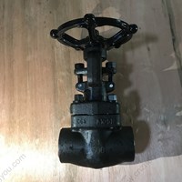 A105 gate valve 3/4'' 2500LB