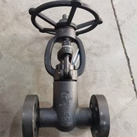 A105 gate valve 3/4'' 1500LB