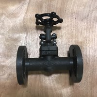 A105 gate valve 3/4'' 300LB