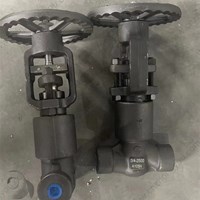 A105 gate valve 3/4'' 2500LB