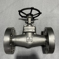 Incoly 825 gate valve 2'' 1500LB