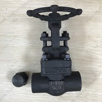 A105 gate valve 1'' 800LB