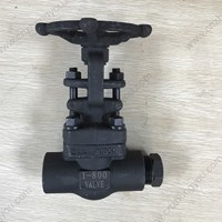 A105 gate valve 1'' 800LB