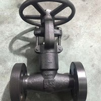 A105 gate valve 1'' 1500LB