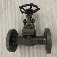 A105 gate valve 1'' 300LB