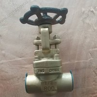 C95500 gate valve 0.5'' 800LB