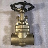 C95500 gate valve  2'' 800LB