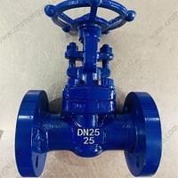 ASTM A182 F9  gate valve DN25 PN25