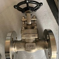 ASTM A182 F51  gate valve 1'' 300LB