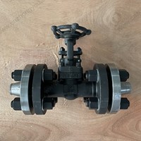 ASTM A350 LF2  gate valve 3/4'' 300LB