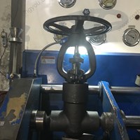 ASTM A350 LF2  gate valve 2'' 2500LB