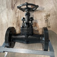 ASTM A350 LF2  gate valve 1'' 600LB