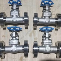 HC276 gate valve 3/4'' 900LB