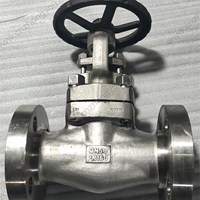 HC276 gate valve DN50 PN160