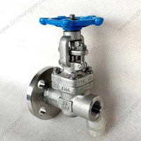 ASTM A182 F304  gate valve 3/4'' 800LB