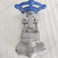 ASTM A182 F304  gate valve 3/4'' 800LB