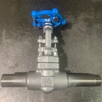 ASTM A182 F304  gate valve 3/4'' 800LB