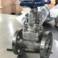 ASTM A182 F304  gate valve 1'' 150LB