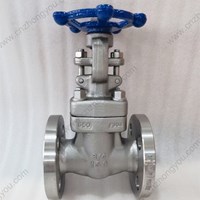 ASTM A182 F304  gate valve 3/4'' 150LB