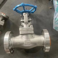 ASTM A182 F304L  gate valve 2'' 600LB