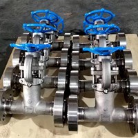 ASTM A182 F304  gate valve 1'' 2500LB