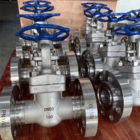 ASTM A182 F304  gate valve DN50 PN160