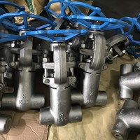 ASTM A182 F304  gate valve DN20 1500LB