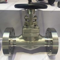 ASTM A182 F321 gate valve 2'' 1500LB