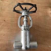 ASTM A182 F321 gate valve 1'' 2500LB