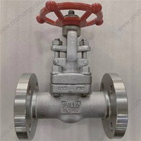 ASTM A182 F321 gate valve DN25 PN16