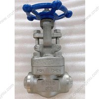 ASTM A182 F347H gate valve DN15 PN63