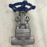 ASTM A182 F316L  gate valve 0.5'' 800LB