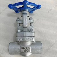 ASTM A182 F316L  gate valve DN15  PN160