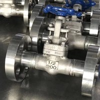 ASTM A182 F316L  gate valve 0.5'' 900LB