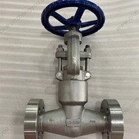 ASTM A182 F316 gate valve 0.5'' 2500LB