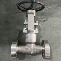 ASTM A182 F316 gate valve 0.5'' 2500LB