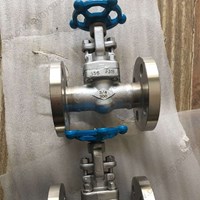 ASTM A182 F316 gate valve DN20 300LB