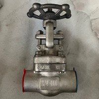 ASTM A182 F316 gate valve DN20 300LB