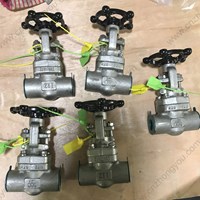 ASTM A182 F316 gate valve 3/4'' 800LB