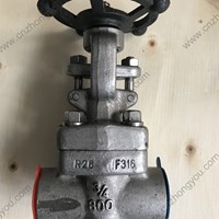 ASTM A182 F316 gate valve 3/4'' 800LB