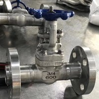 ASTM A182 F316L  gate valve 0.75'' 600LB