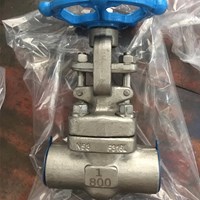 ASTM A182 F316L  gate valve 1'' 800LB