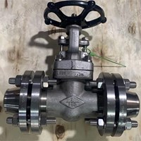 ASTM A182 F316 gate valve 2'' 150LB