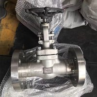 ASTM A182 F316 gate valve DN40 PN100