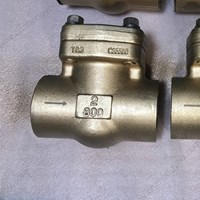 C95500 Check Valve 2'' 800LB