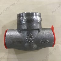 F316 Welded cover  Check Valve  3/4'' 800LB