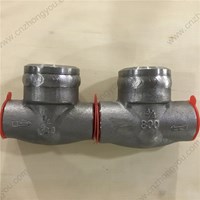 F316 Welded cover  Check Valve  3/4'' 800LB