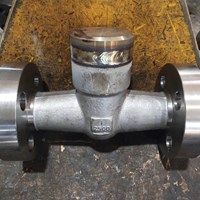 F316 Welded cover  Check Valve  1'' 2500LB