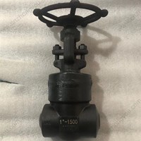 A105 Welded bonnet gate valve 1'' 1500LB